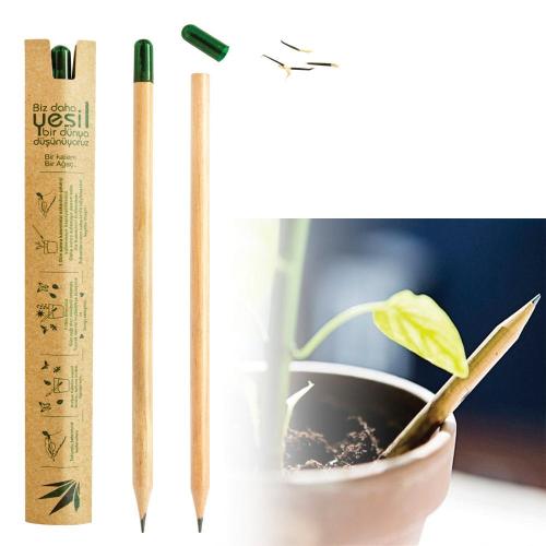 Wooden Pencil With Eraser